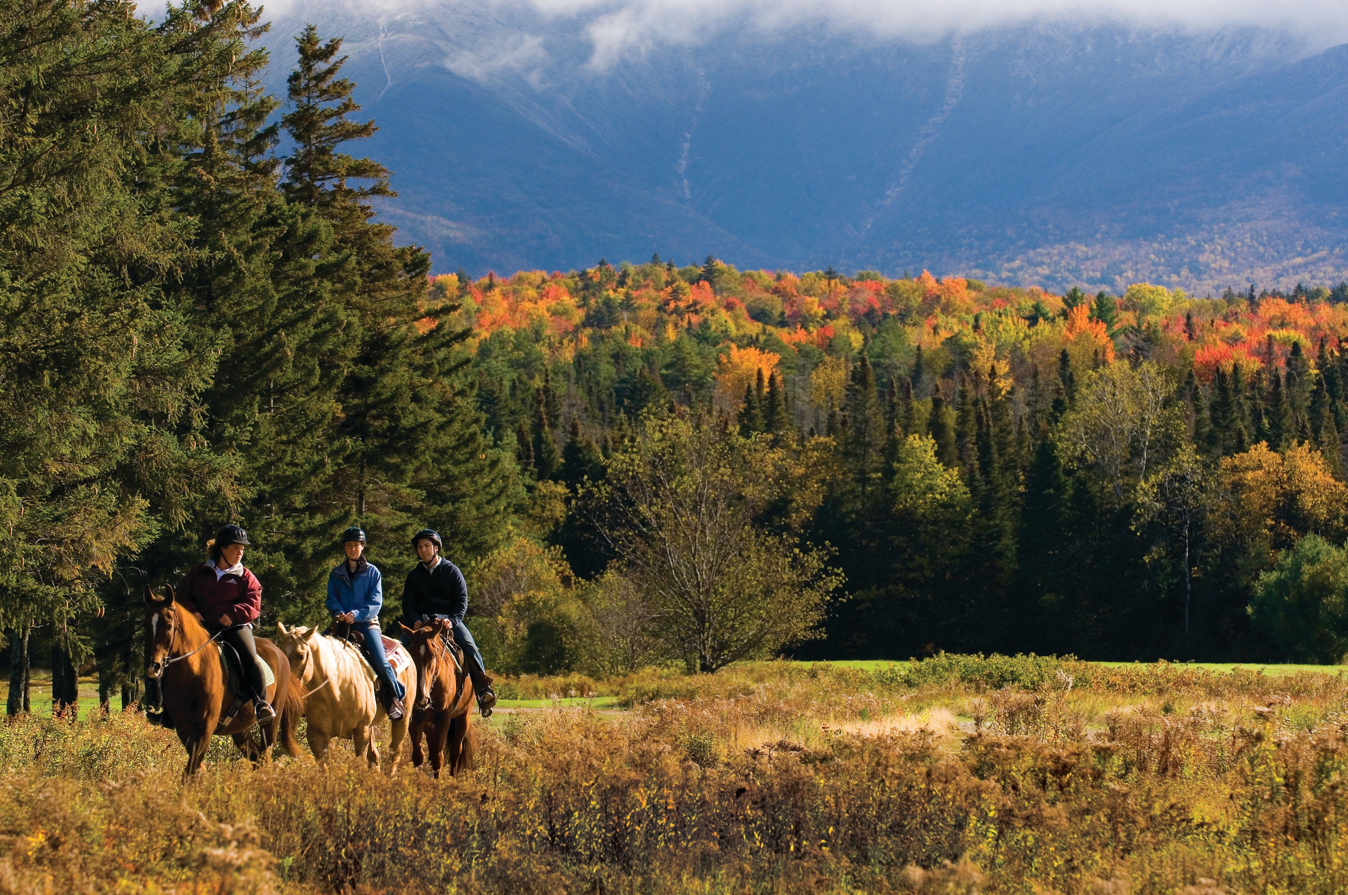 Omni Mount Washington Resort & Spa Bretton Woods Esterno foto